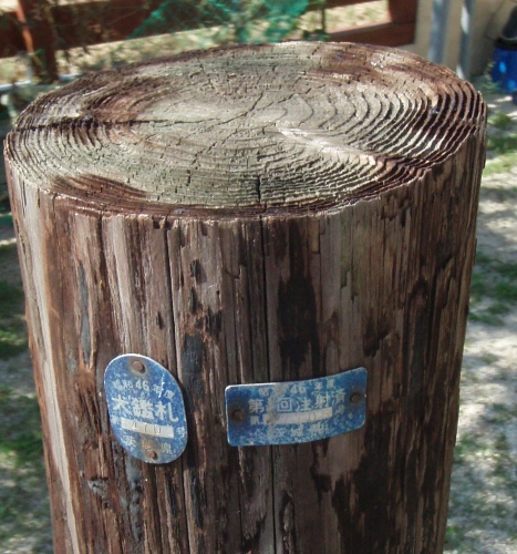 木の電柱　（門柱の左川です）